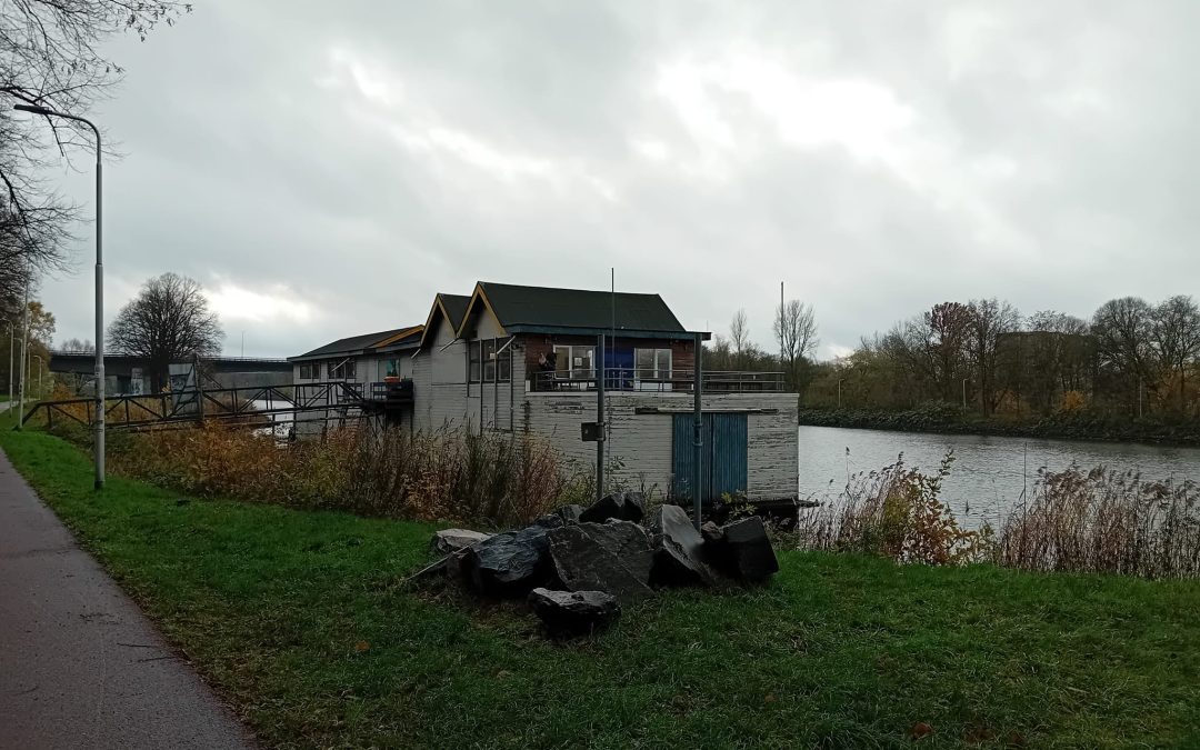 Nieuwe cursussen beeldhouwen in hout in Nijmegen